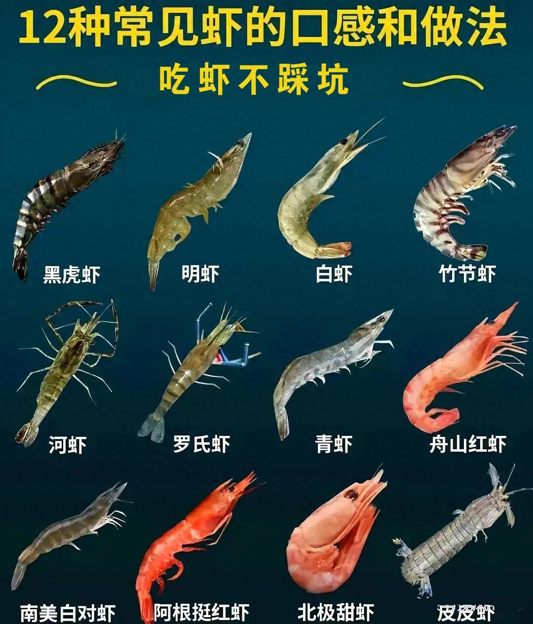 吃虾不挑可以吗，吃虾吗?