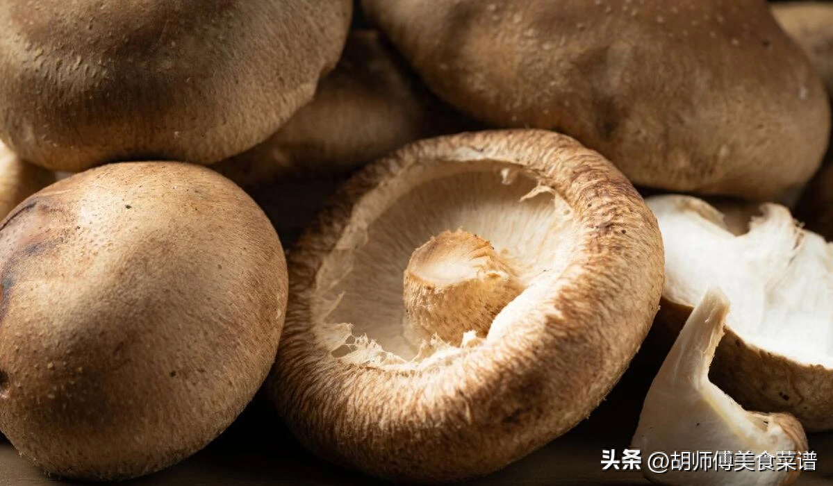 香菇与平菇哪种效益高，香菇为什么比平菇贵