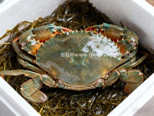 漳州市红膏蟹购买指南,哪里能买到正宗美味? 漳州市红膏蟹购买指南,哪里能买到正宗美味?
