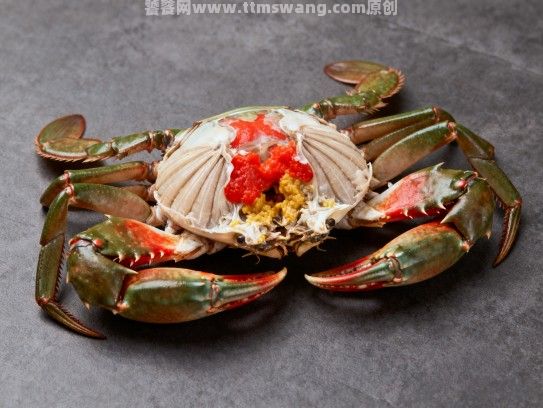 寻味漳州,红膏蟹购买指南与热门店铺推荐 寻味漳州,红膏蟹购买指南与热门店铺推荐