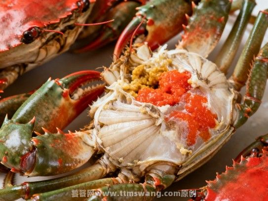 漳州寻味指南,哪里能买到新鲜红膏蟹? 漳州寻味指南,哪里能买到新鲜红膏蟹?