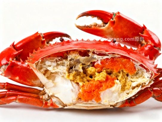 寻味漳州,红膏蟹的鲜活滋味何处寻 寻味漳州,红膏蟹的鲜活滋味何处寻