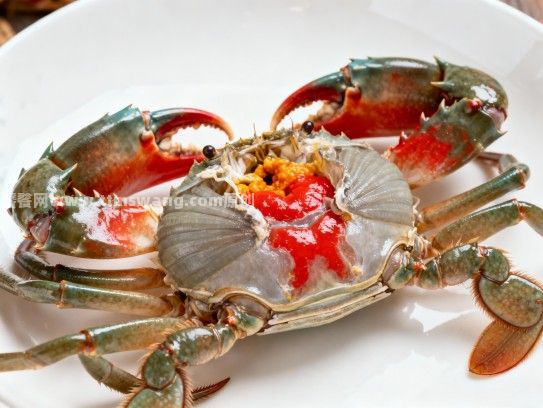 寻味漳州,不可错过的红膏蟹美食地图 寻味漳州,不可错过的红膏蟹美食地图