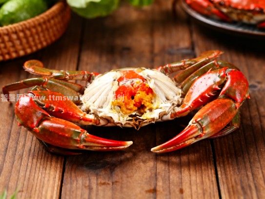 漳一膏红，蟹逅鲜美—漳州红膏母蟹究竟有多好吃？