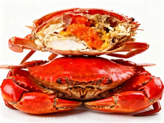 寻味漳州,红膏蟹的鲜美江湖 寻味漳州,红膏蟹的鲜美江湖