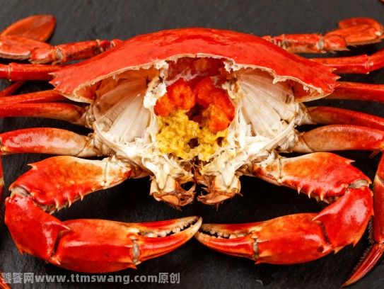 漳江潮涌膏蟹肥—探访漳州红膏蟹批发达人阿海 漳江潮涌膏蟹肥—探访漳州红膏蟹批发达人阿海