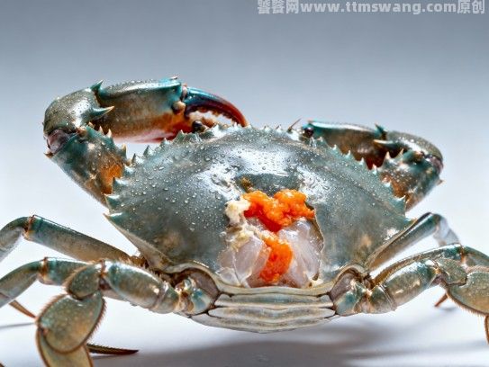 漳州红膏蟹总经销,品质与信誉的守护者 漳州红膏蟹总经销,品质与信誉的守护者