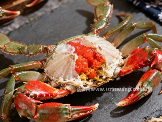 漳州红膏蟹炖罐,海味与时光的温柔交融 漳州红膏蟹炖罐,海味与时光的温柔交融