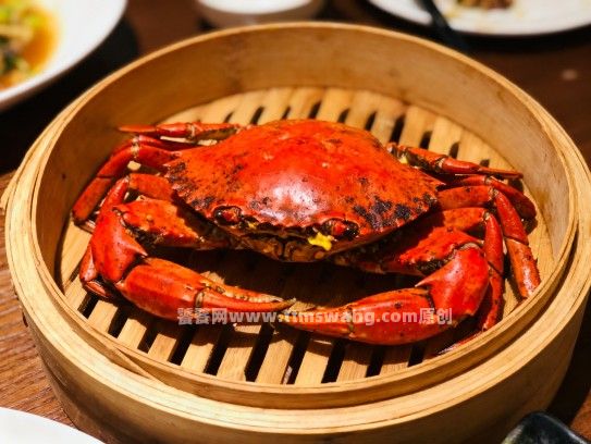 漳浦红膏蟹批发联系方式与采购指南 漳浦红膏蟹批发联系方式与采购指南