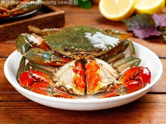 漳浦红膏蟹的出蟹之路,从渔港到餐桌的销售密码 漳浦红膏蟹的出蟹之路,从渔港到餐桌的销售密码