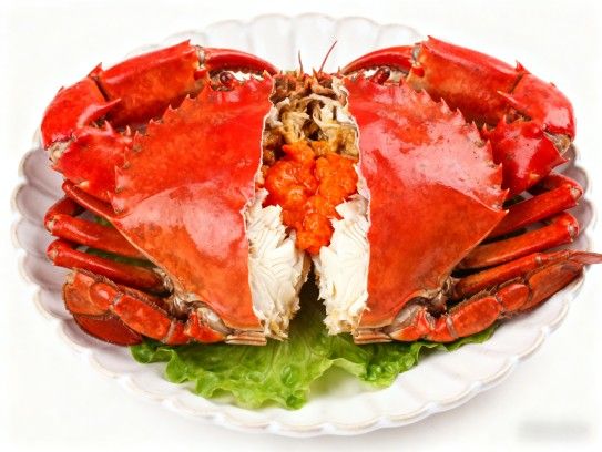 漳浦红膏青蟹,海味极品的烹饪艺术 漳浦红膏青蟹,海味极品的烹饪艺术