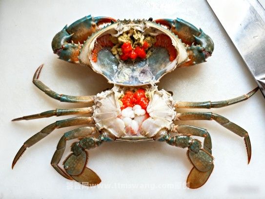寻味漳浦,那一抹红膏蟹的江湖 寻味漳浦,那一抹红膏蟹的江湖
